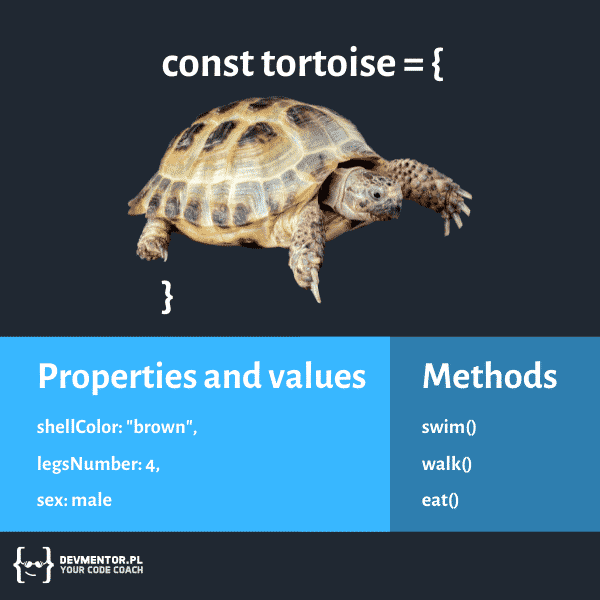 obiekt-tortoise